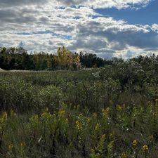 Screenshot 2023-11-05 at 2.54.06 PM